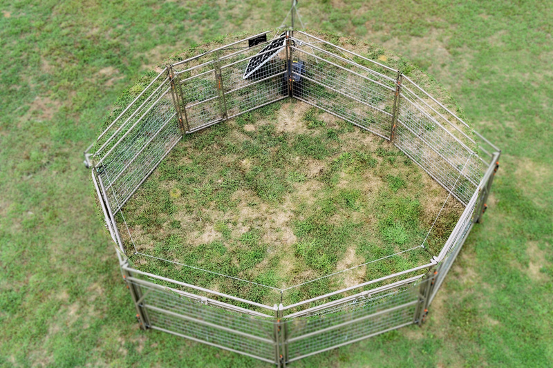Jump Ring